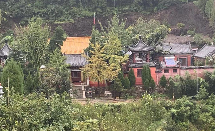 微信图片_20231117100246