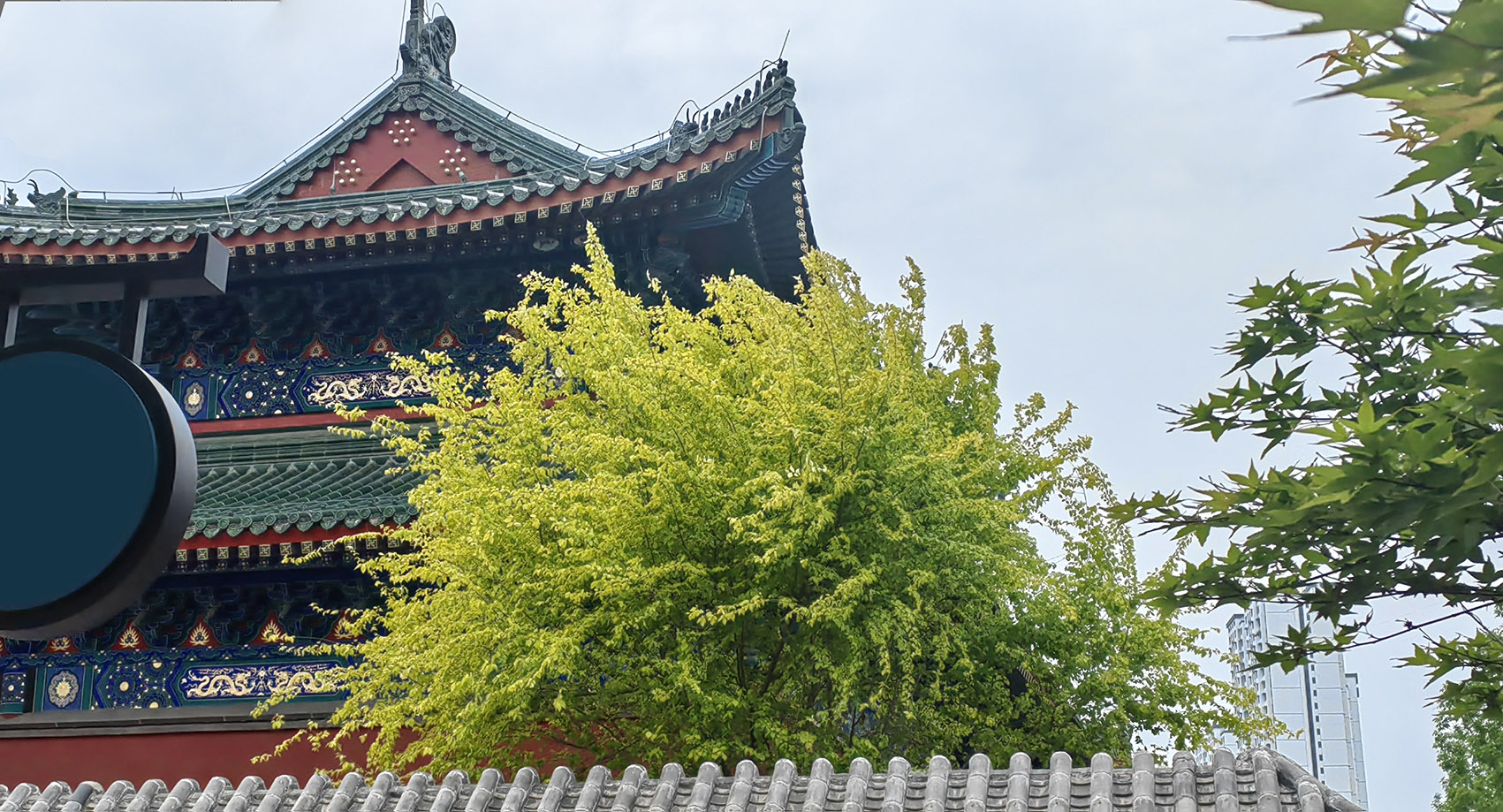 IMG_20240419_142715-2xiao